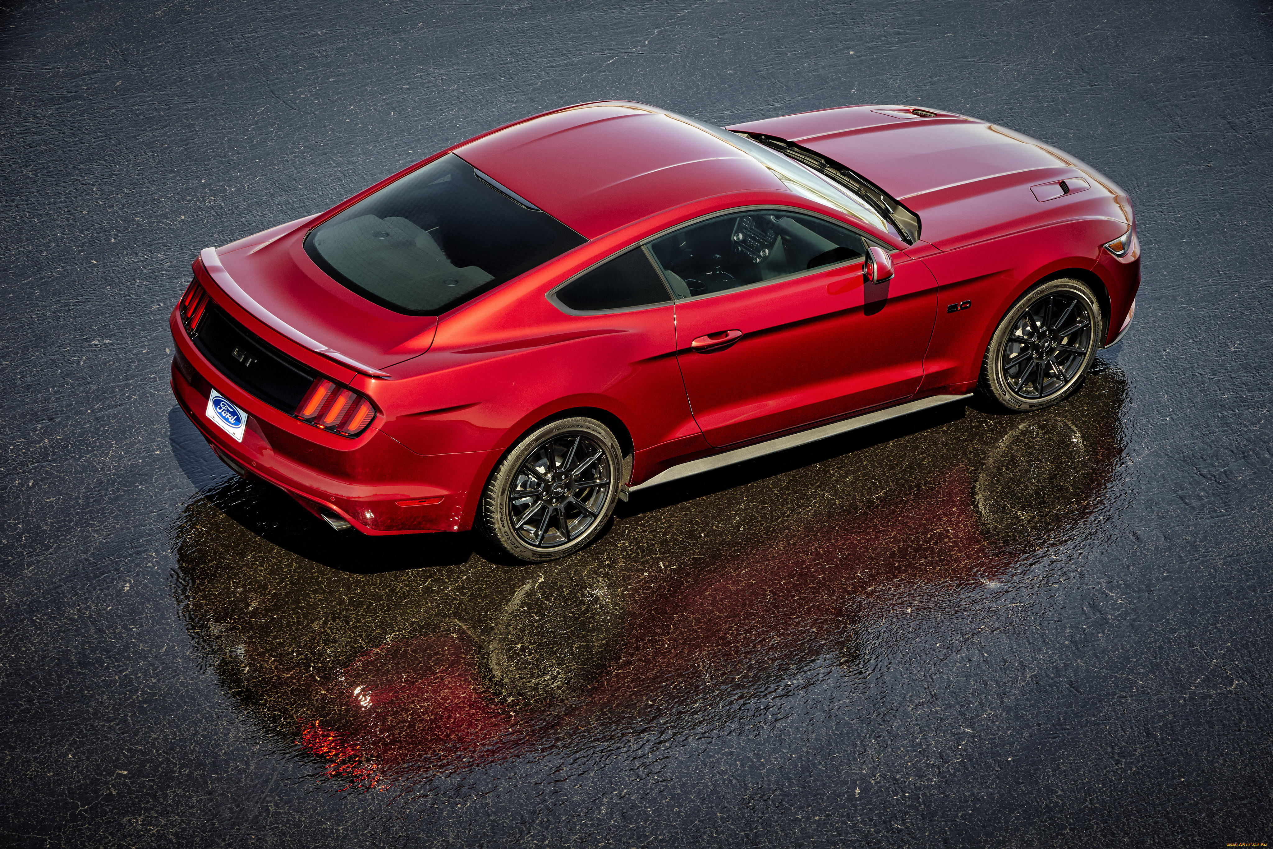 , mustang, , black, accent, fastback, 2016, , gt, ford